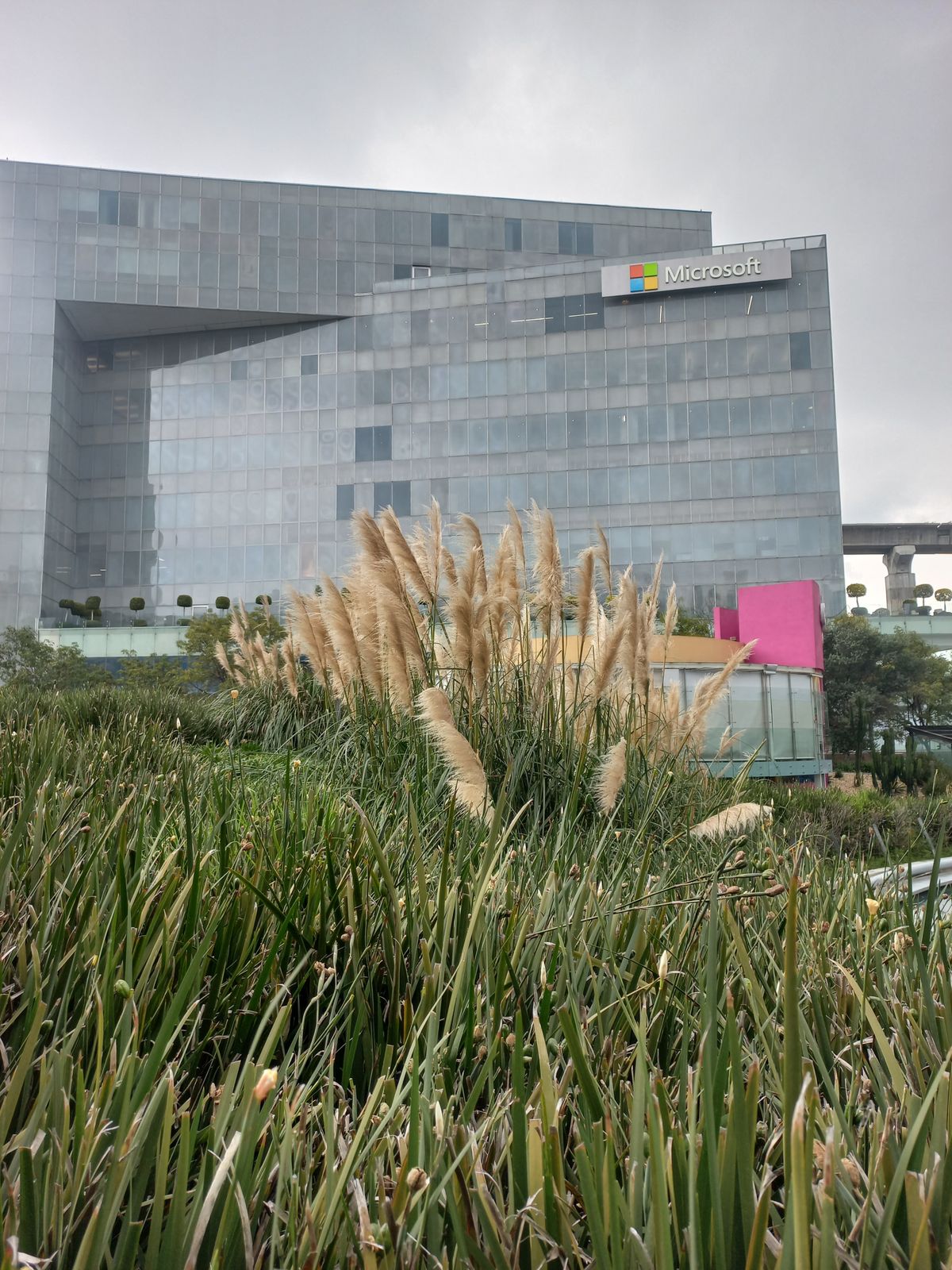 Microsoft office building behind green trees, representing the 2026 Microsoft certification retirement wave